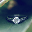 Post Thumbnail of Final Fling Before the Ring