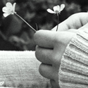 Post thumbnail of Yearning to be Pursued