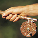 Post thumbnail of Catch of the Day