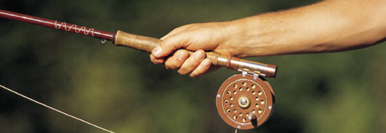 Post image of Catch of the Day