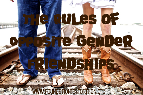 The Rules Of Opposite Gender Friendships Foundation Restoration 9068